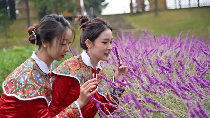 枪械的大型游戏手机版_枪械大型版手机游戏推荐_枪械大型版手机游戏大全