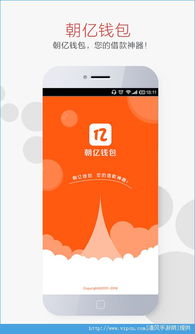 钱包有几亿usdt,揭秘数字货币财富的守护者