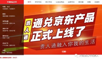 区块链贵人通,区块链技术下的数字货币迷局与监管挑战