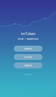 imtoken钱包如何导入usdt,imtoken钱包导入USDT教程