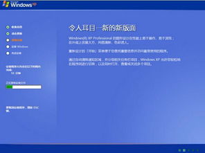 重装系统windows xp,轻松上手