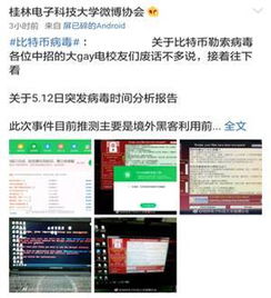 比特币敲诈病毒,揭秘恶意软件勒索真相与防范策略