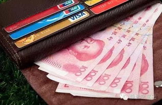拥有usdt最多的钱包,全球USDT持有量最高的钱包揭秘