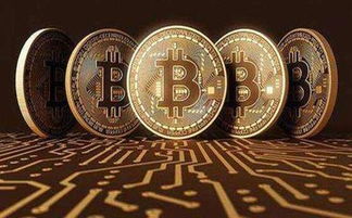 煮老师比特币,揭秘加密货币的传奇之路
