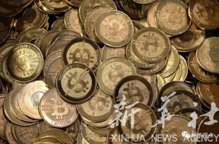 比特币月结,市场动态与未来展望解析