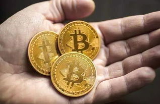 比特币暴富实例,从币圈神话到财富奇迹的蜕变之路