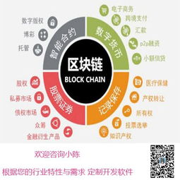 区块链软件定制,定制化软件构建未来金融生态