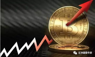 比特币优势,去中心化、安全性与未来潜力