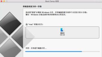 mac卸载windows系统,释放磁盘空间