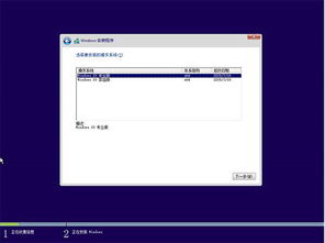 windows 10 双系统,Windows 10双系统配置与优化指南