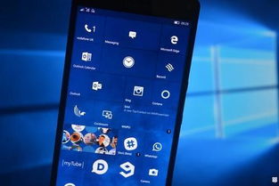 安卓手机用windows系统,探索跨系统融合新体验